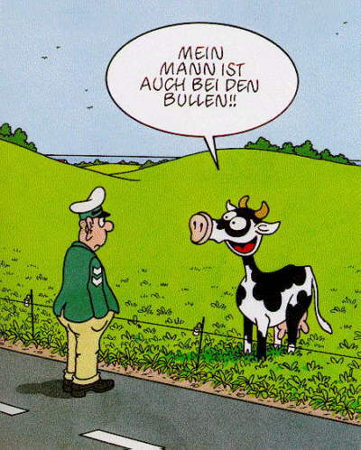 Polizei