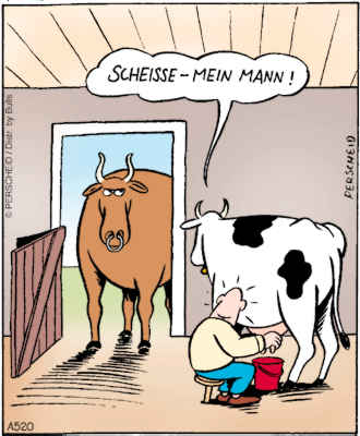 Polizei